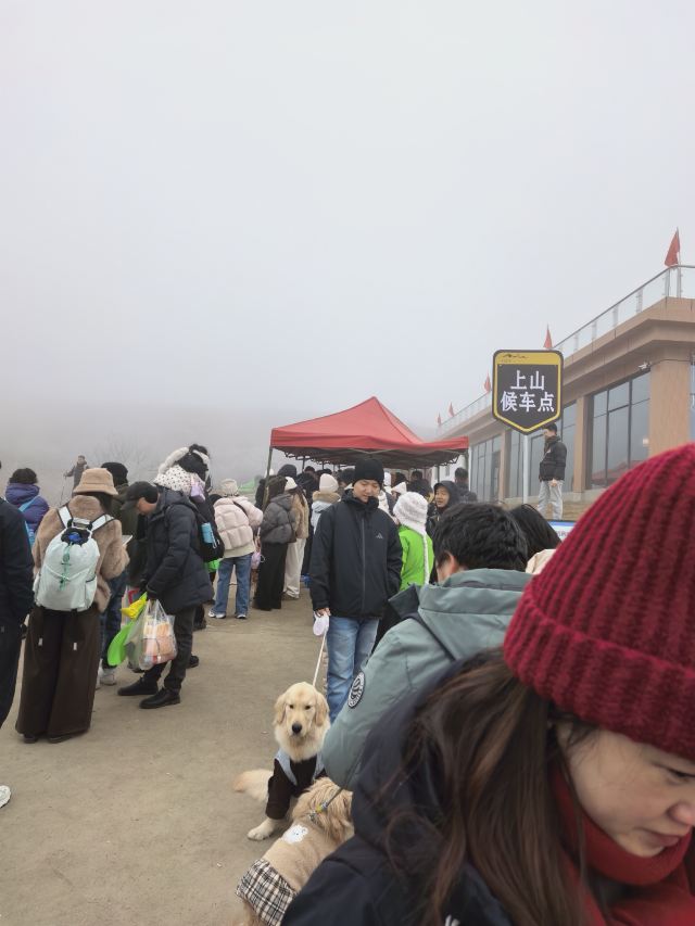 王岗坪旅游景区-露营区旅行图片 1