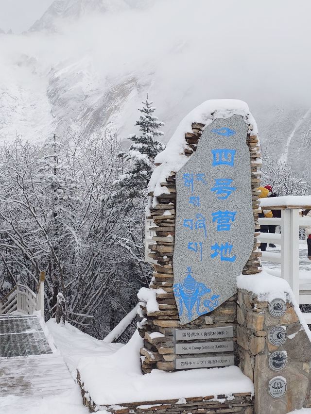 成都植物园旅行图片 3