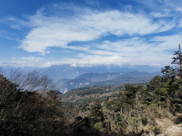 王岗坪旅游景区-露营区旅行图片 3