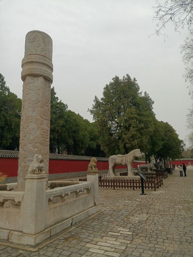 袁林旅行图片 3