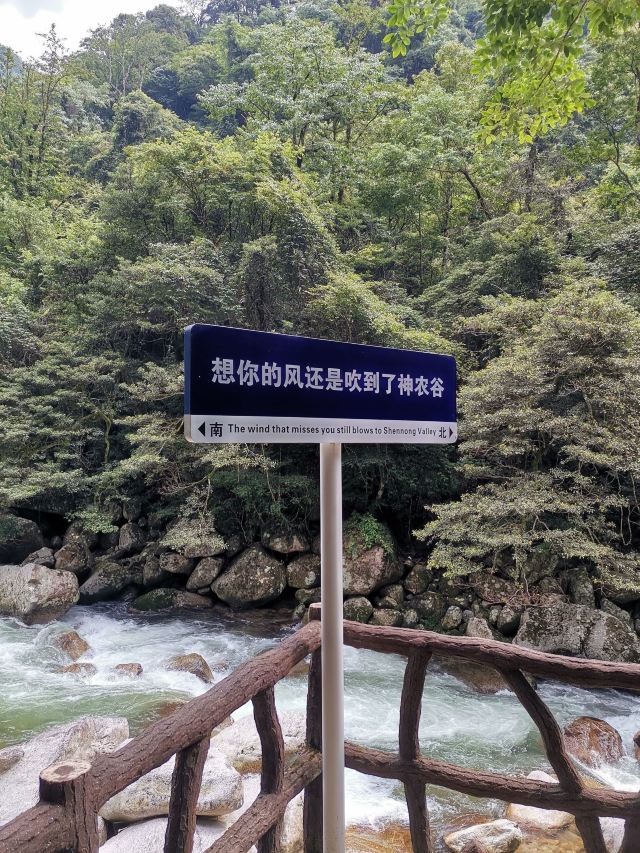 炎陵县神农谷国家森林公园旅行图片 7