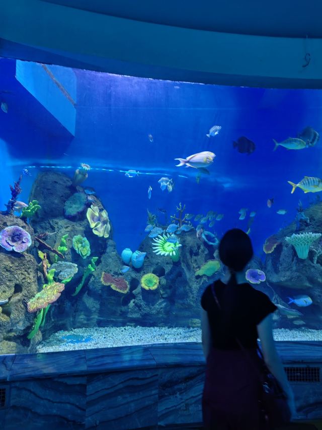 徐州欧乐堡海洋极地世界旅行图片 4