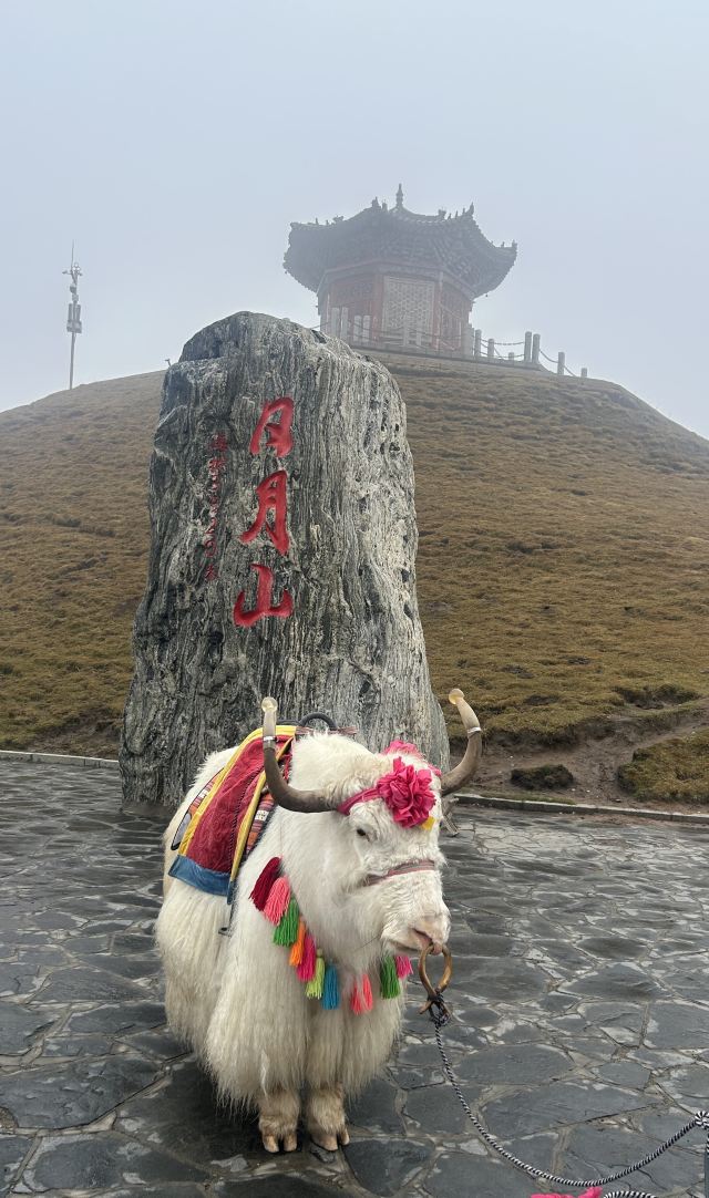 日月山景区旅行图片 2