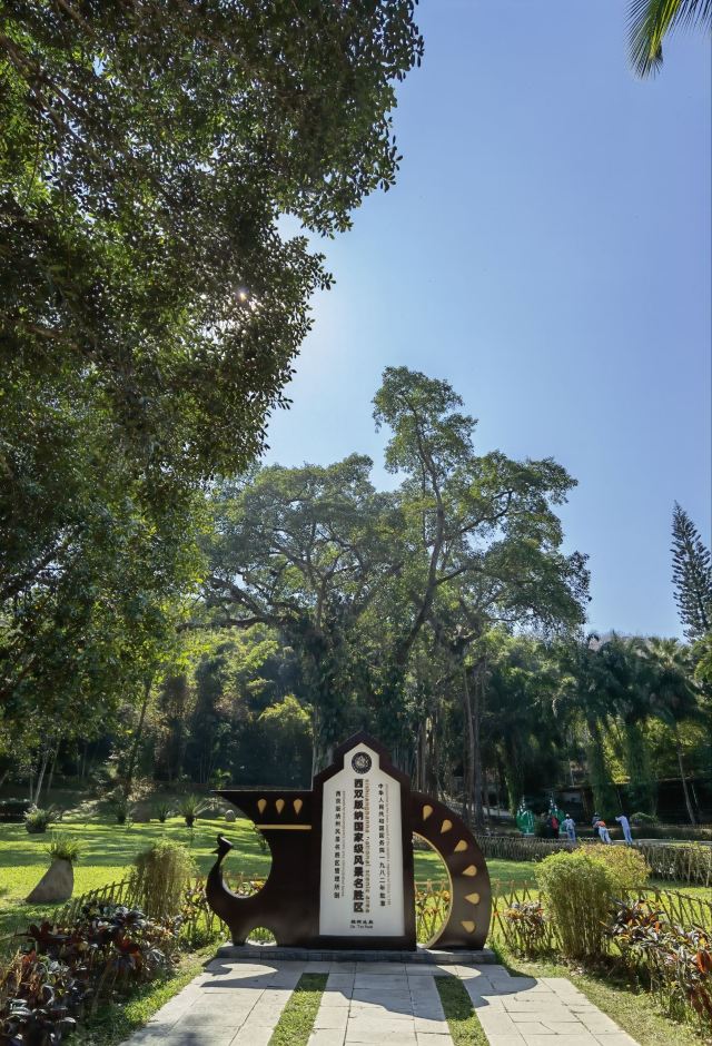 西双版纳独树成林景区旅行图片 2