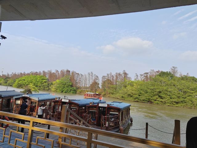 小鸟天堂旅行图片 4