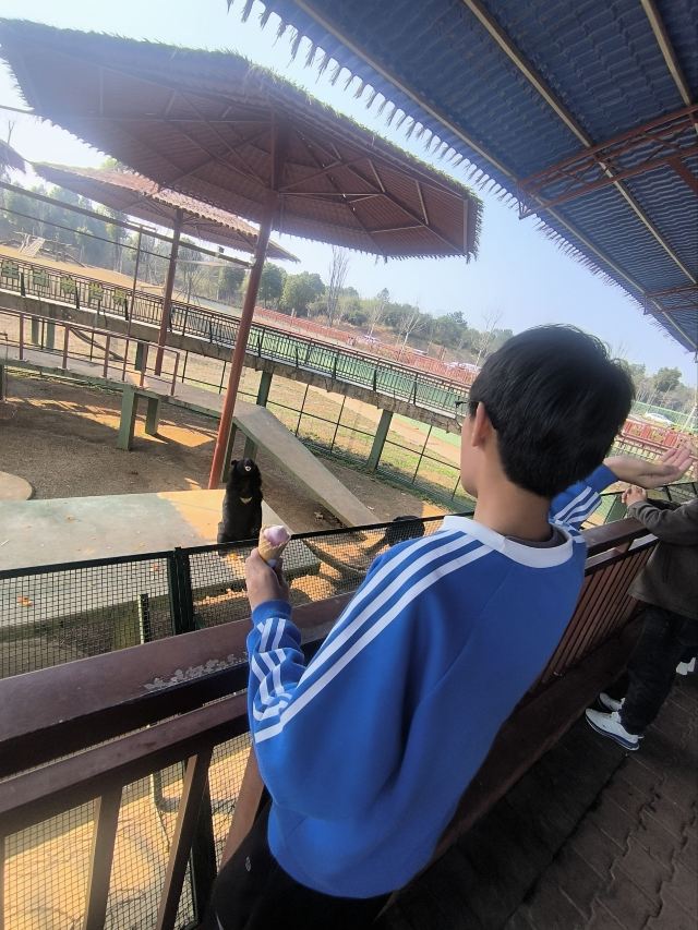 湖南常德野生动物世界旅行图片 1