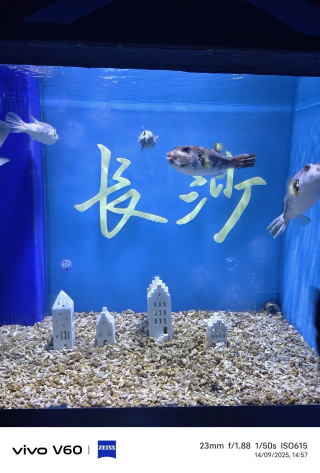 长沙湘江海洋王国旅行图片 2