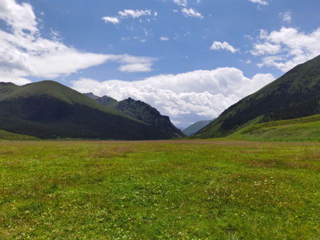 山丹皇家马场景区(暂停开放)旅行图片 7