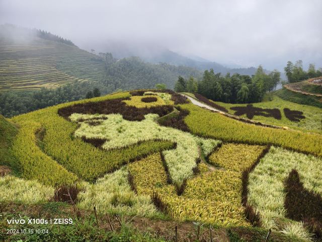 桃源梯田景区旅行图片 2
