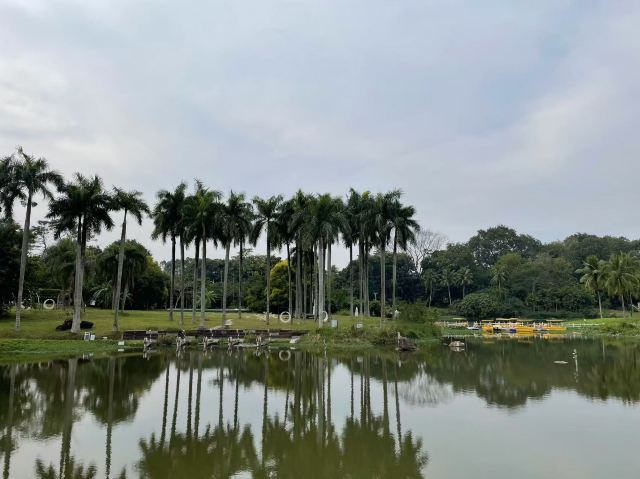 海南热带植物园旅行图片 2