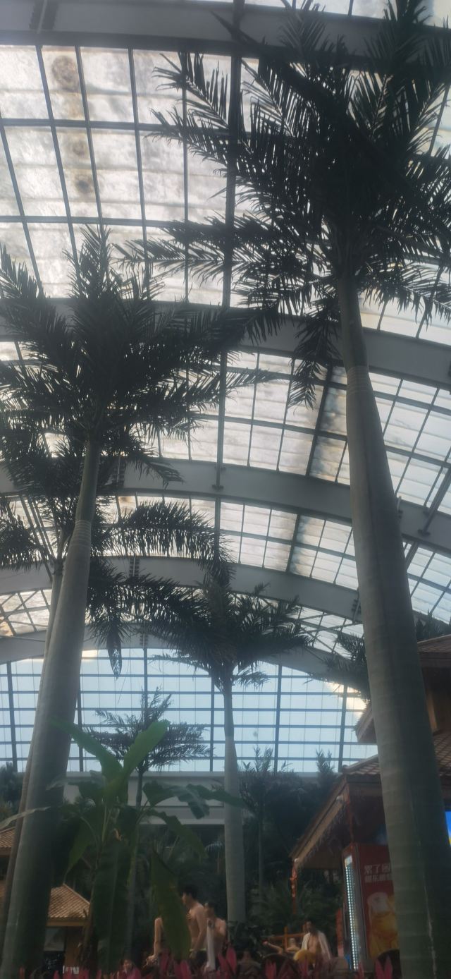 国信南山温泉旅行图片 1