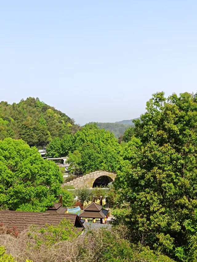 虔心小镇腐竹坊旅行图片 2