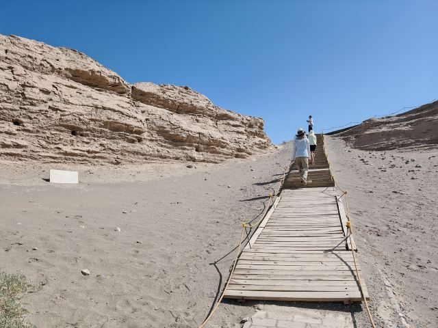 锁阳城遗址旅行图片 1