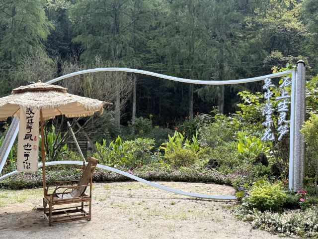 灵栖洞旅行图片 6