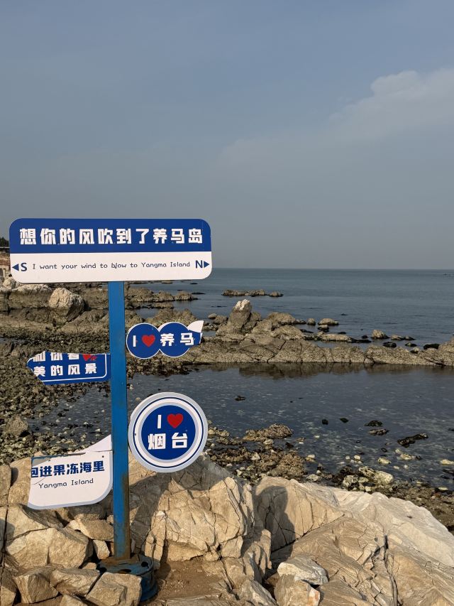 养马岛林间花海旅行图片 9