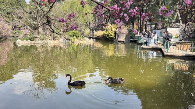 昆明动物园旅行图片 6