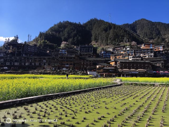 西江千户苗寨旅行图片 8