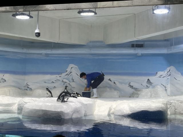 上海海洋水族馆旅行图片 2