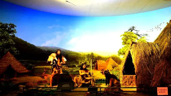 石嘴山市博物館