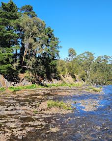 Maroondah Reservoir Park-希尔斯维尔
