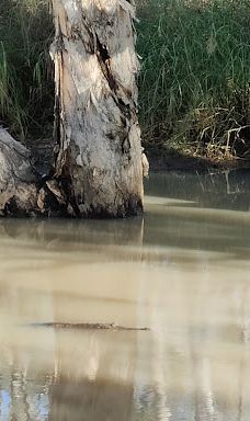 Violet Valley Campground-奥德里弗