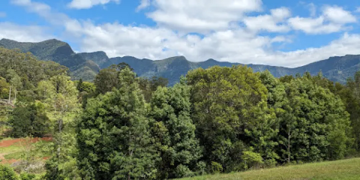 Limpinwood Nature Reserve
