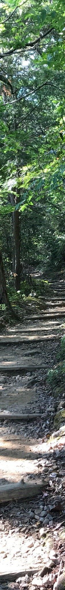 Kumano Kodo Kan Pilgrimage Center-田边市