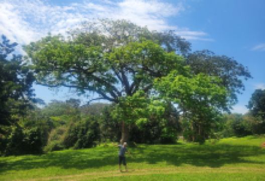 Entebbe Botanical Garden景点图片