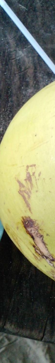 Natsepa Beach-Salahutu