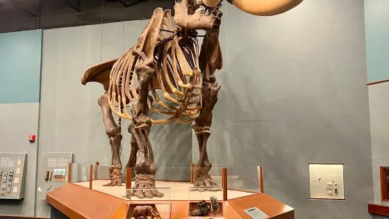 Museum of Florida History