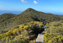 Tuatapere Hump Ridge Track景点图片