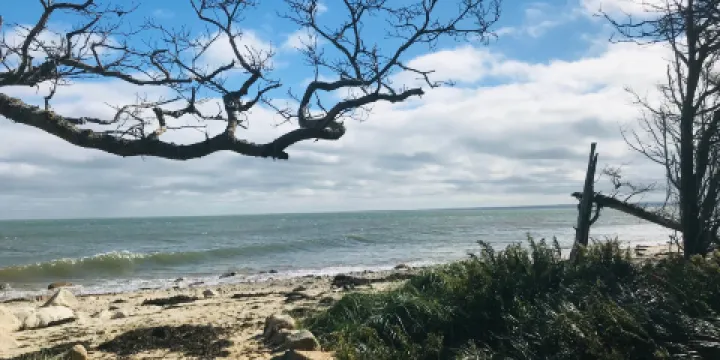 Ellisville Harbor State Park