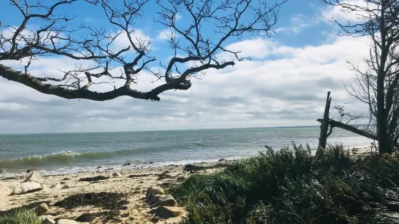 Ellisville Harbor State Park