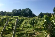 Langworthy Farm Winery景点图片