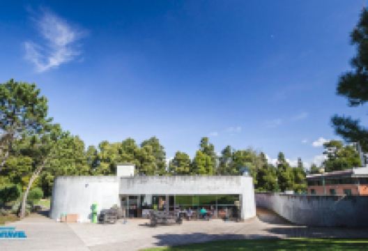 Parque Ambiental do Bucaquinho景点图片