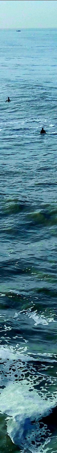 De Pier Scheveningen-斯赫弗宁恩