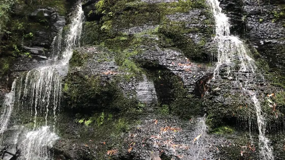 Won Wondah & Henderson Falls