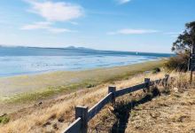Point Henry Foreshore Reserve景点图片