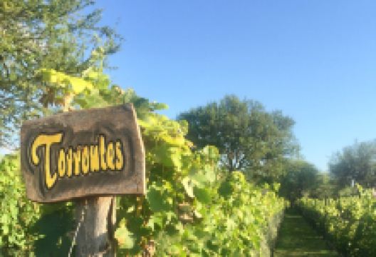 Vinedo Fraterno景点图片