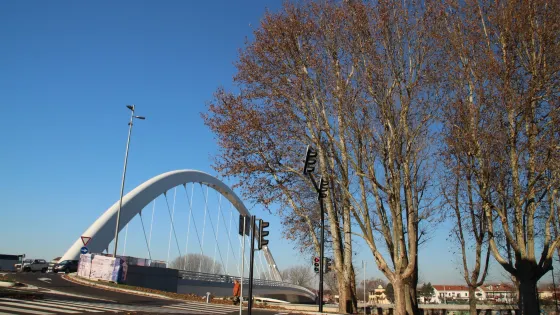Ponte Meier