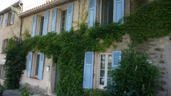 Les Murs Vegetaux