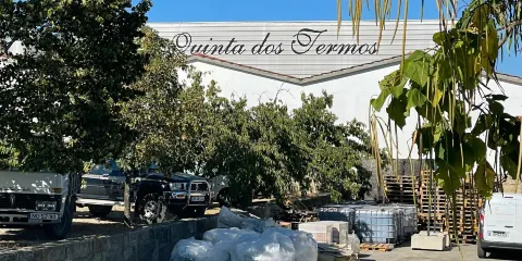 Quinta dos Termos