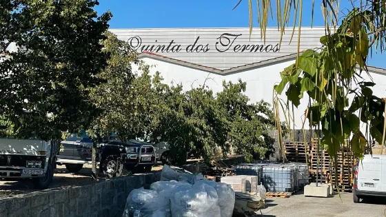 Quinta dos Termos