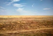 Nature Park Eltonskiy景点图片