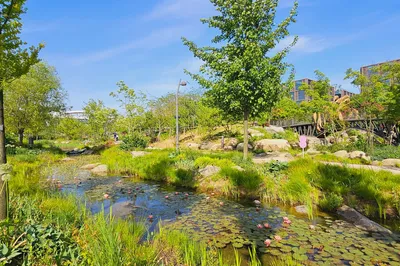 Seoul Botanic Park