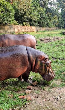 Sipahijala Wildlife Sanctuary-Sipahijala