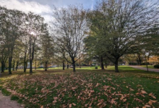 Schwimmbadwiese Büderich景点图片