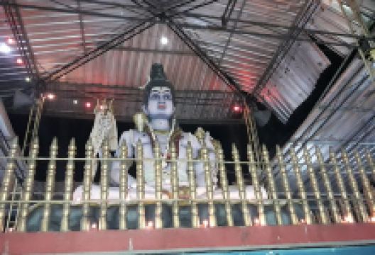 Sri Bathrakaliamman Temple景点图片