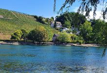 Leisure facility Rheinwiese - Camping Schaffhausen景点图片
