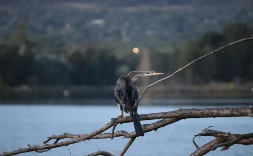 Lake Tuggeranong